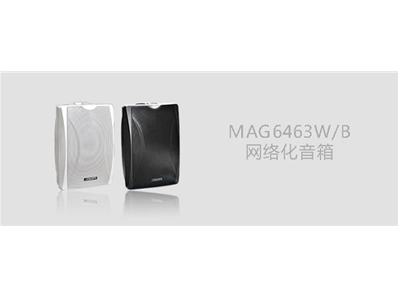 DSPPA MAG6463W/B网络化音箱