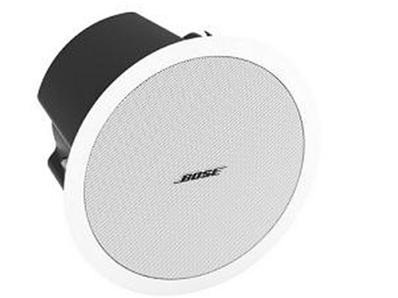 BOSE FreeSpace® DS 100F 吸顶扬声器